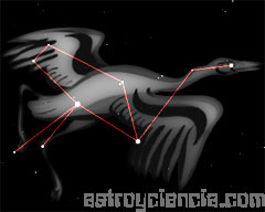 constelación de la grulla
