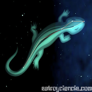 constelación del lagarto