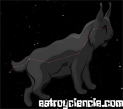 constelación del lince