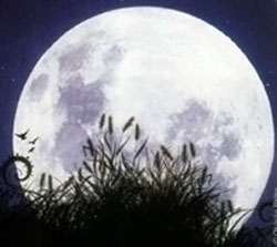 que significa la luna en la carta astral